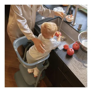 Best Lemo Learning Tower Accesorios